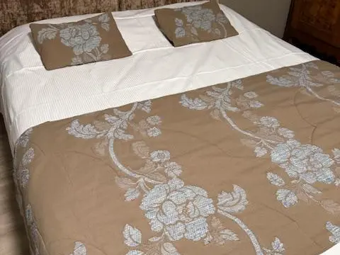 Chambre_Hôtel de la Place_Polliat