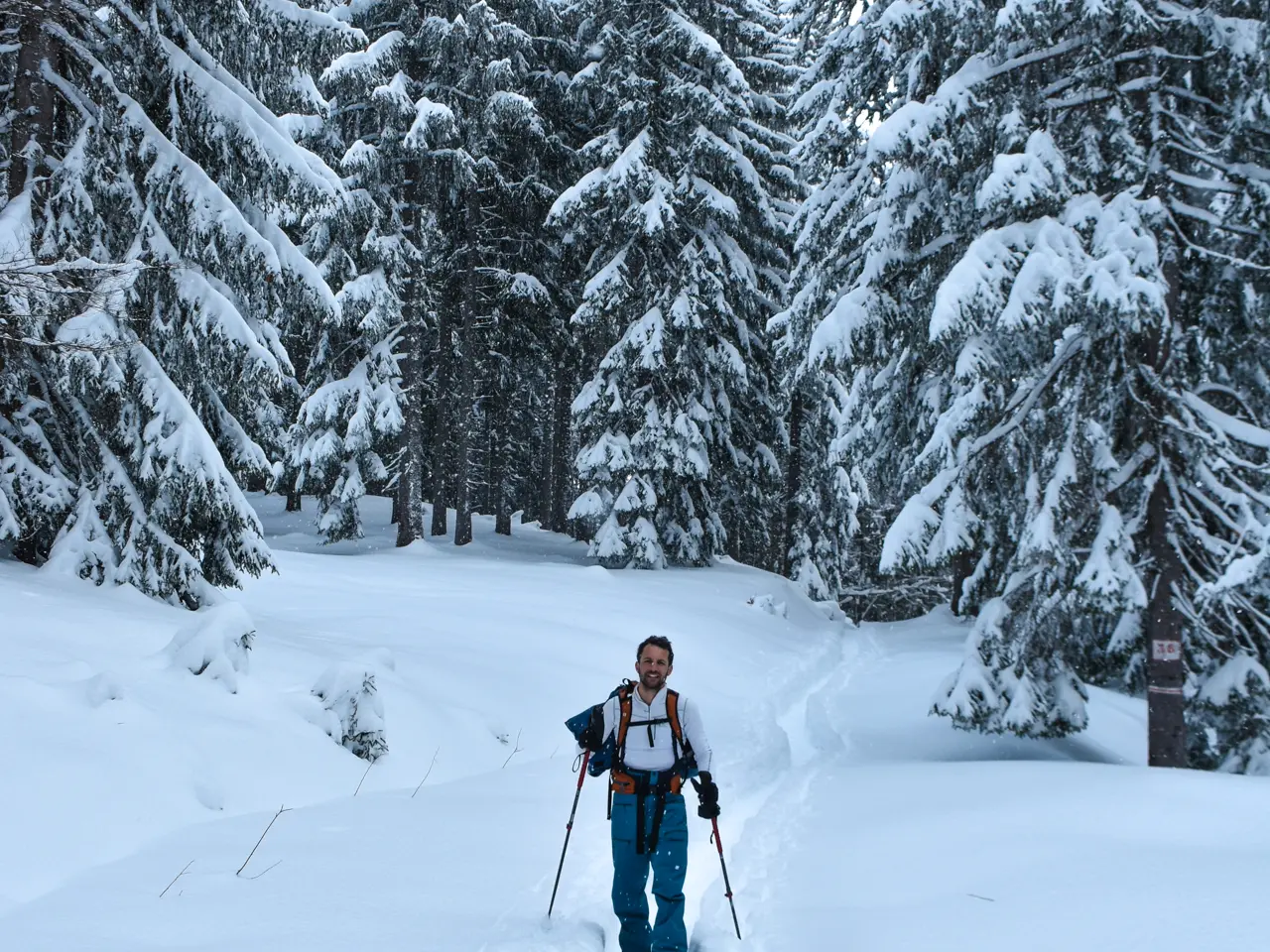 L'envers du mont chery