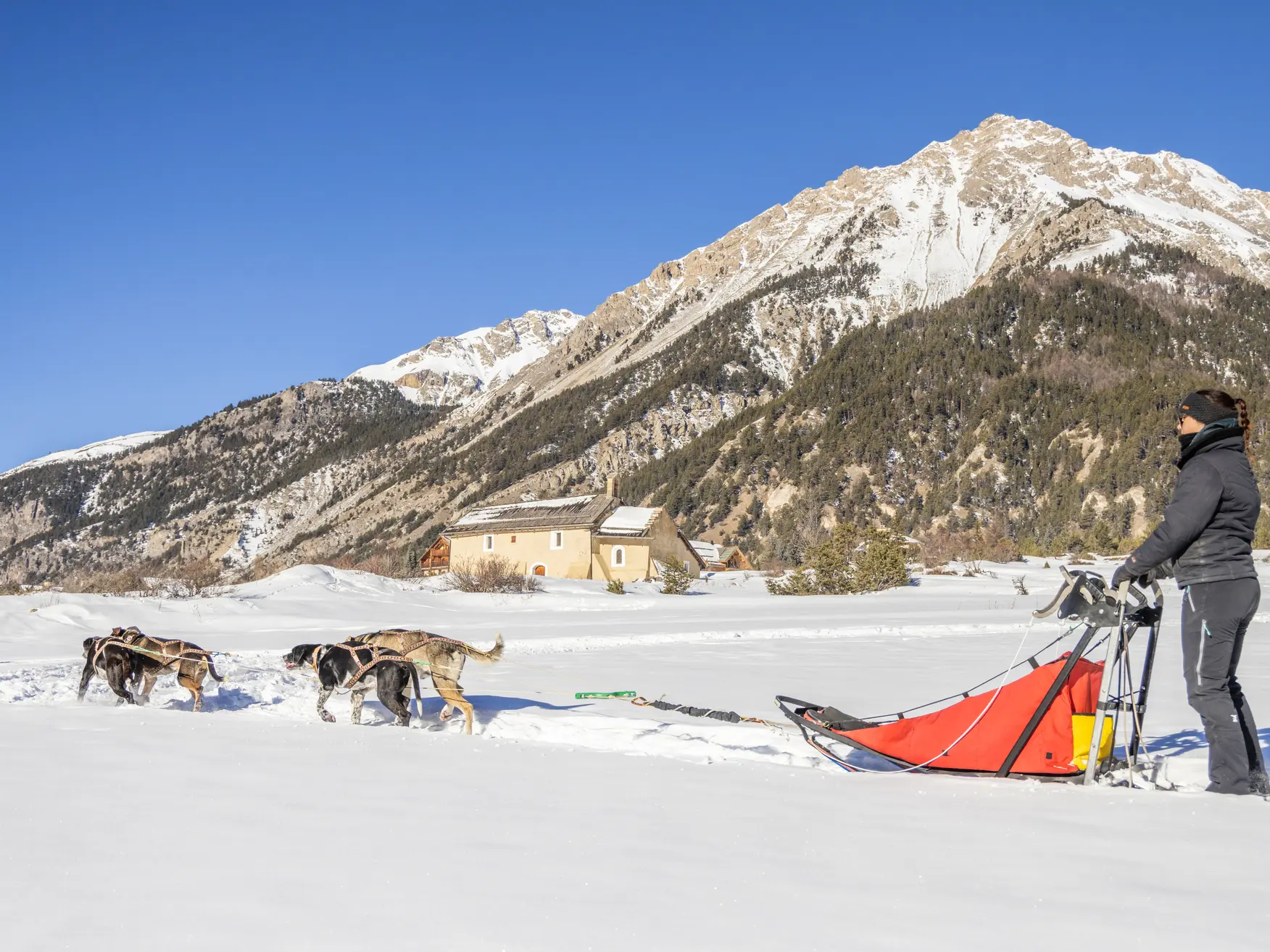 COnduite attelage traineau à chiens - Nevache