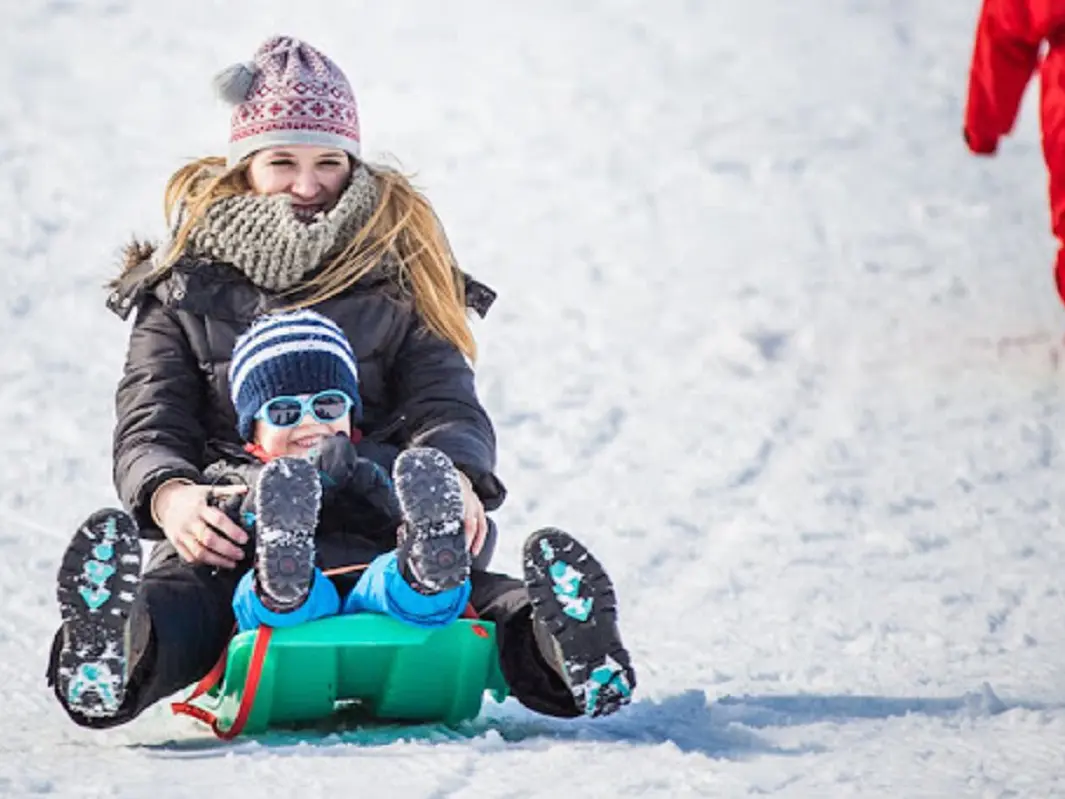Luge
