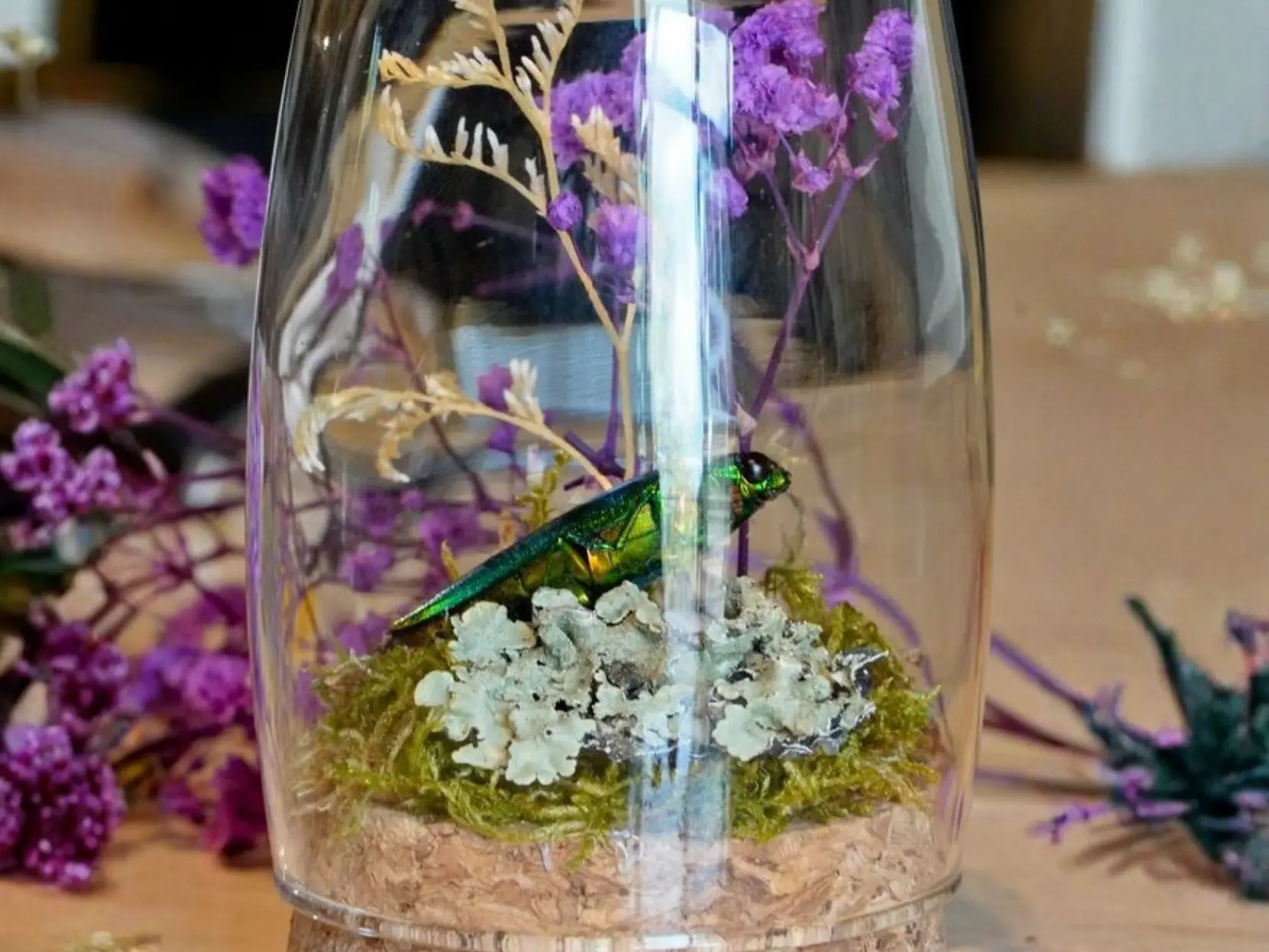 Atelier insectes_Arcon