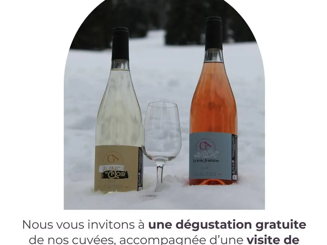 Domaine Chabran Antonin_Sarrians