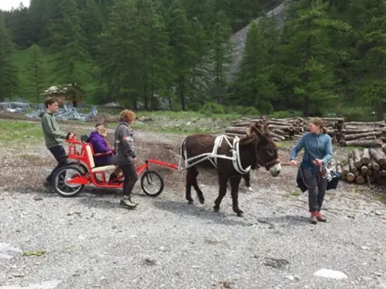 la queyragoline et son tracteur à 4 pattes