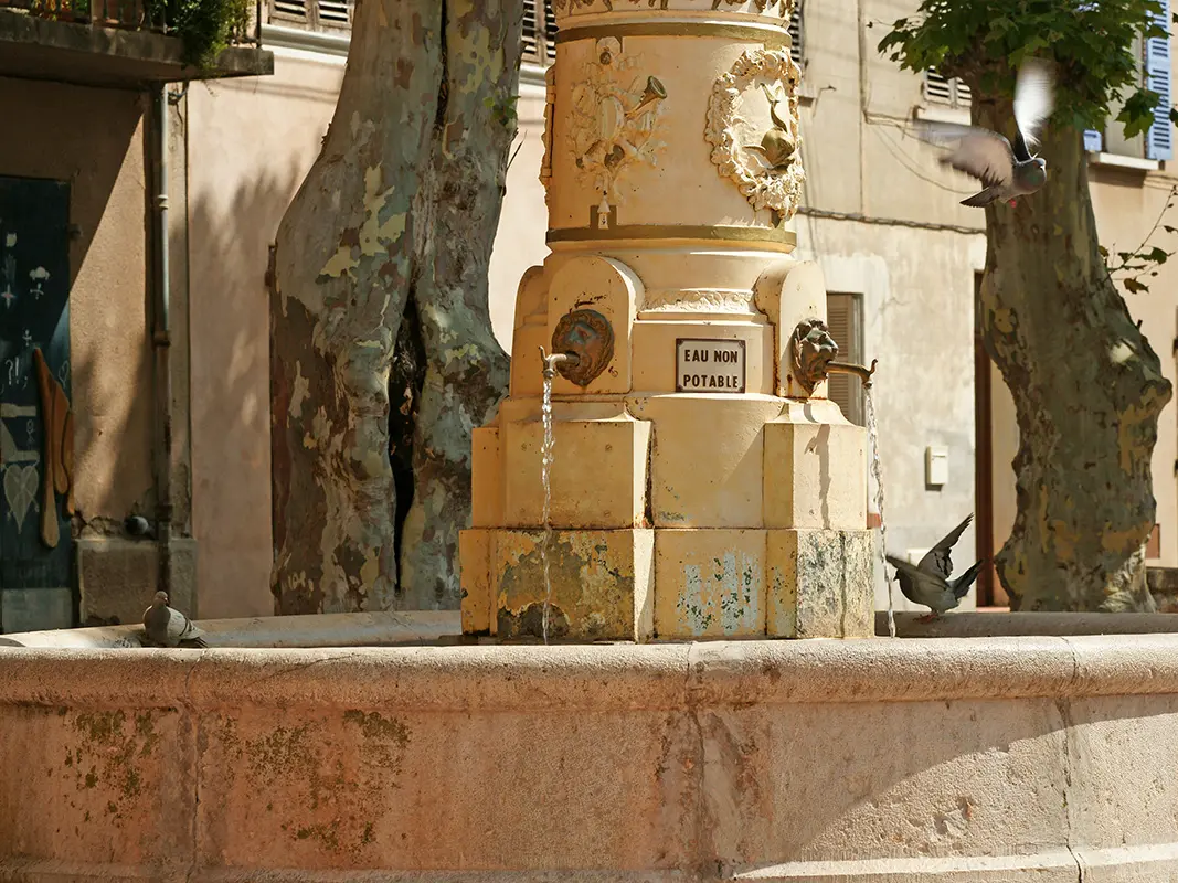 Fontaine - Place de la Liberté - Puget Ville