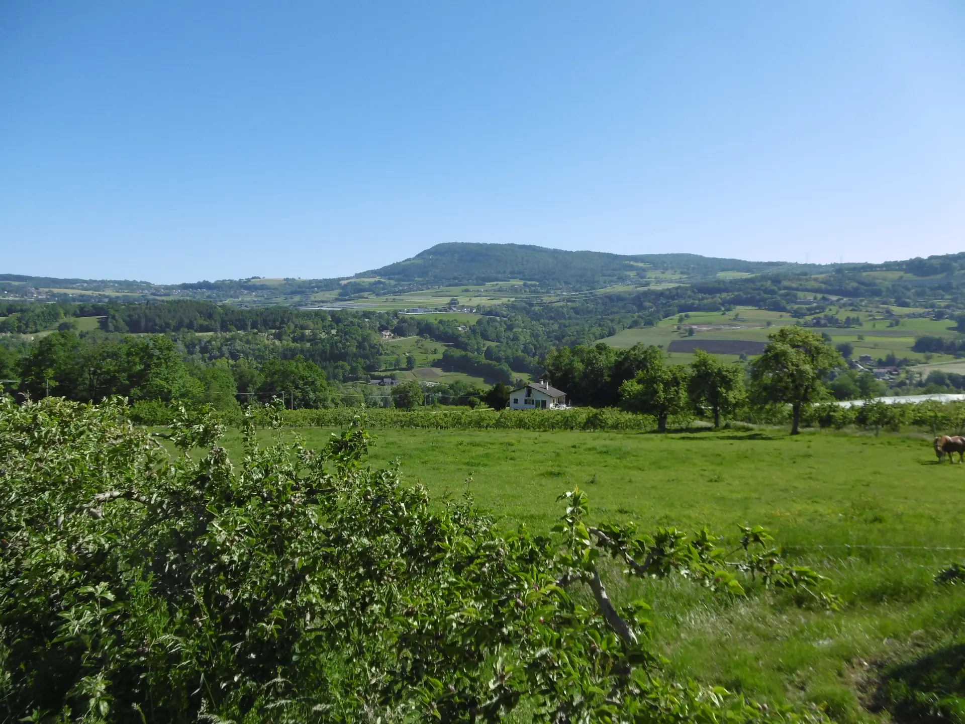 Point de vue Salève verger depsui route de chosal Cercier