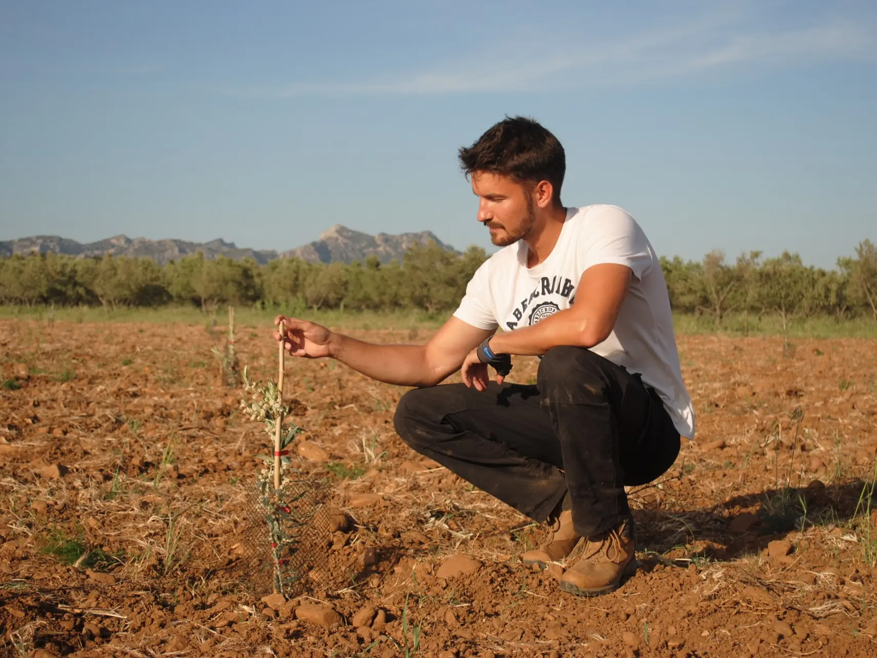 Amouriès - Domaine Delabarre Mouriès producer Lucas