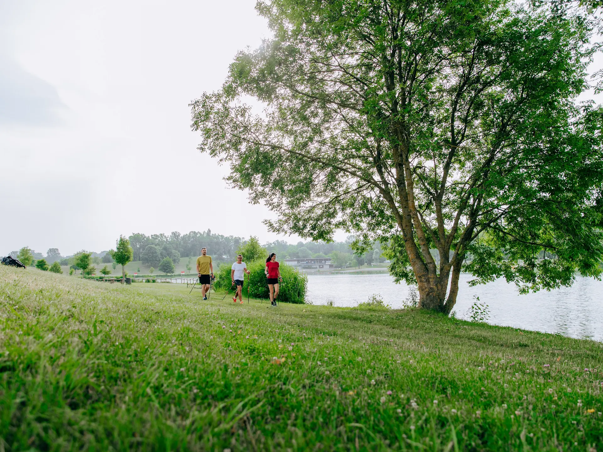 Marche nordique au bord du lac de Champos