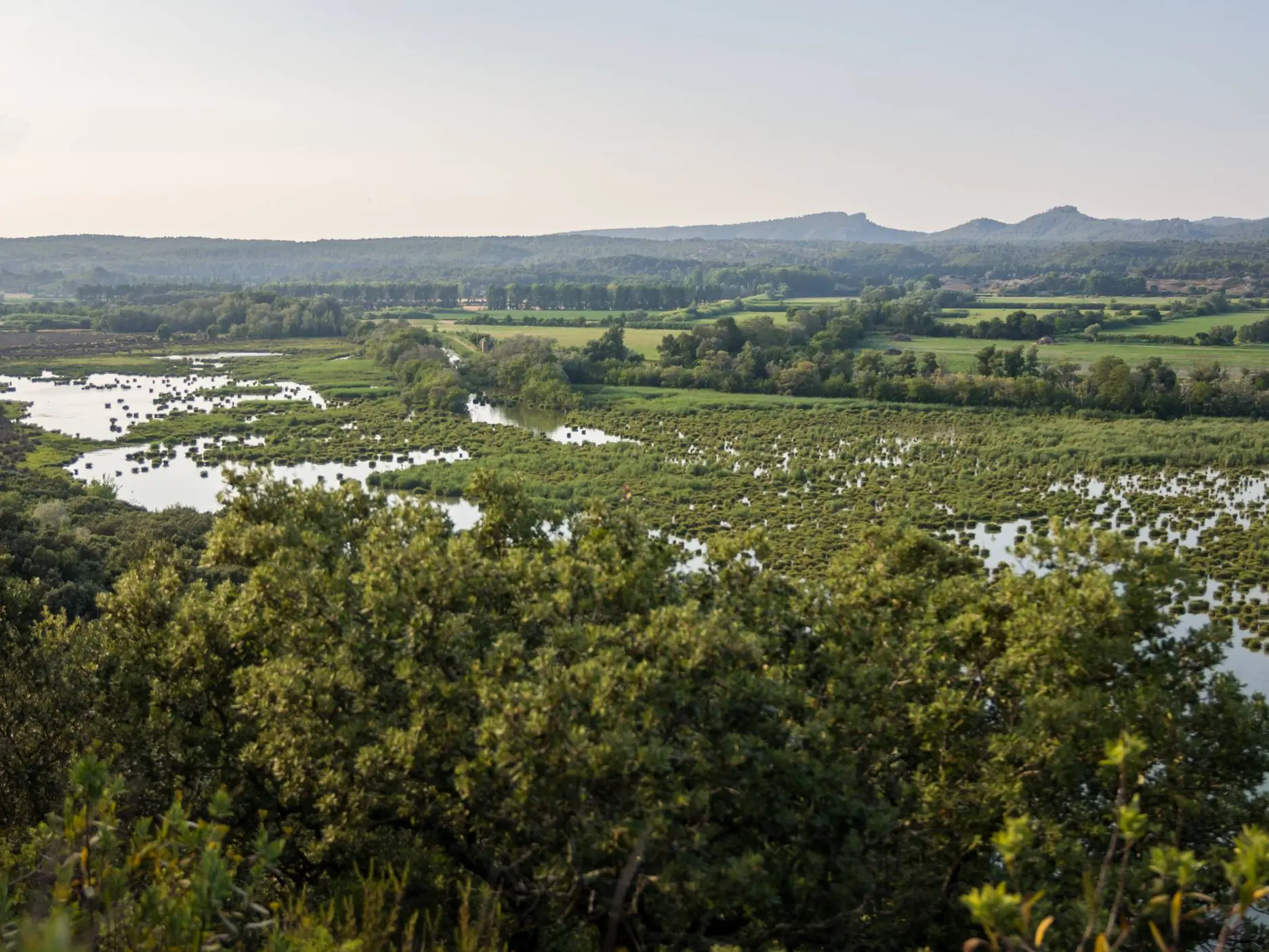 Vue sur le marais de l'Ilon