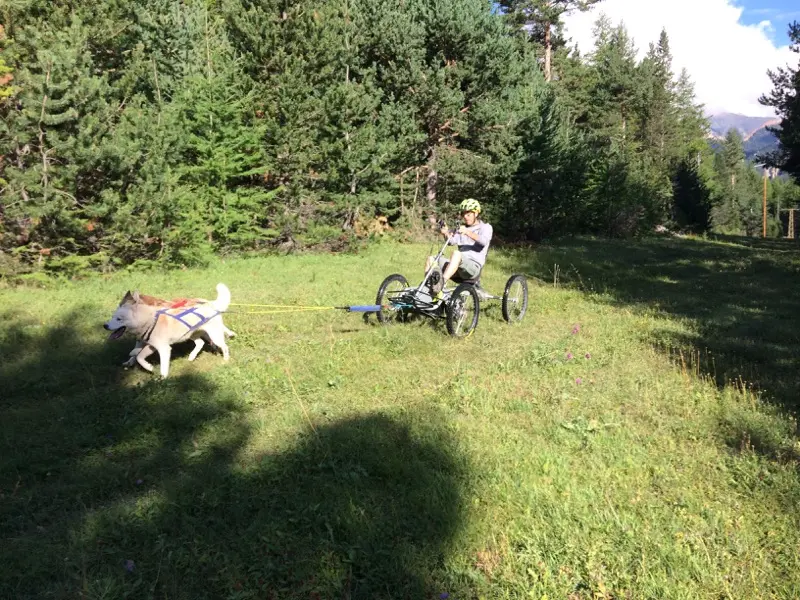 Cani VTT à 4 Roues