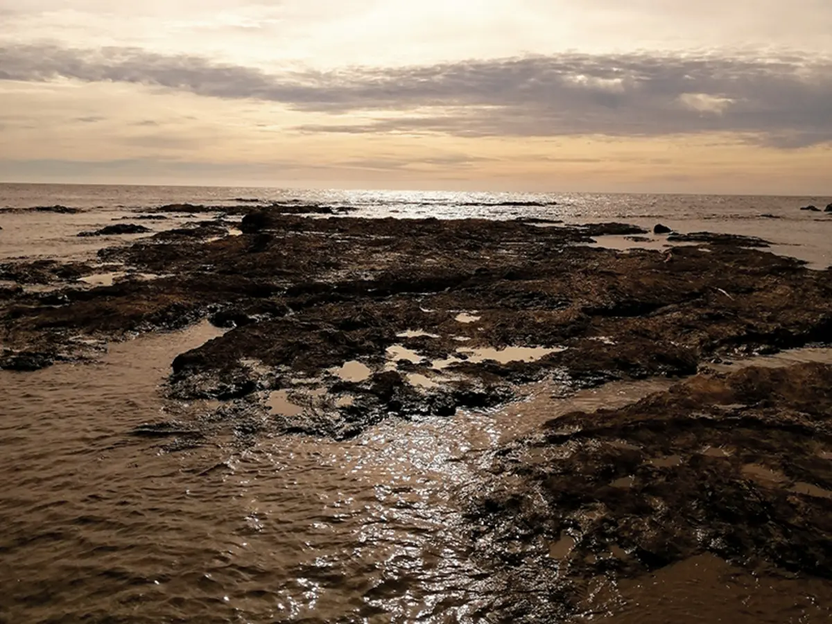 Balade photo naturaliste presqu'ile du gaou