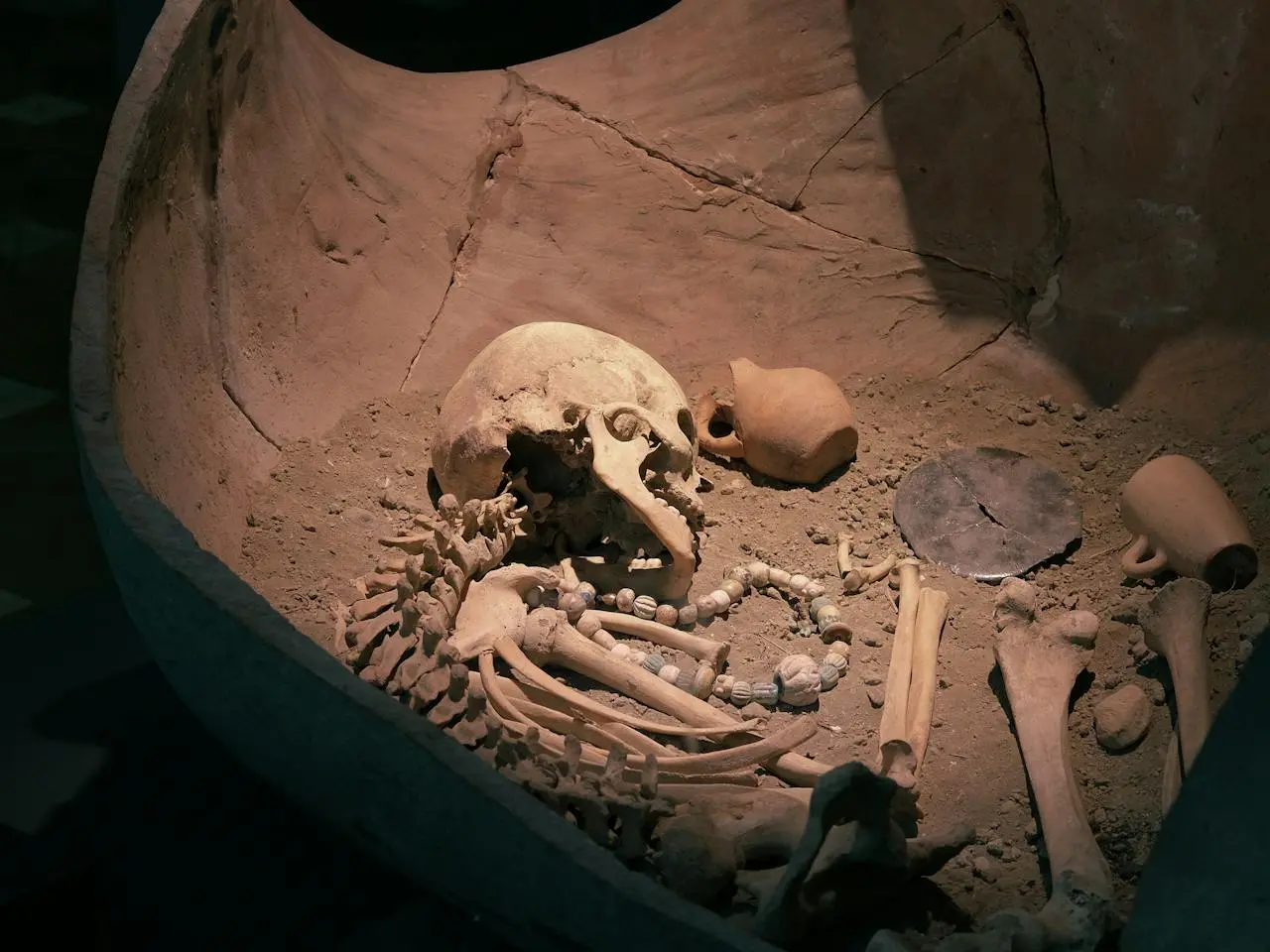 Atelier de fouilles archéologiques - Traces du temps