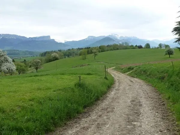 Point de vue - Hameau de la Mandallaz