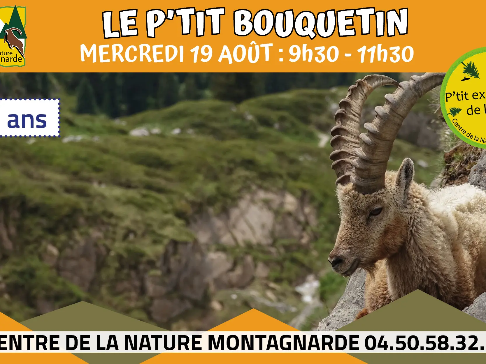 P'tit bouquetin