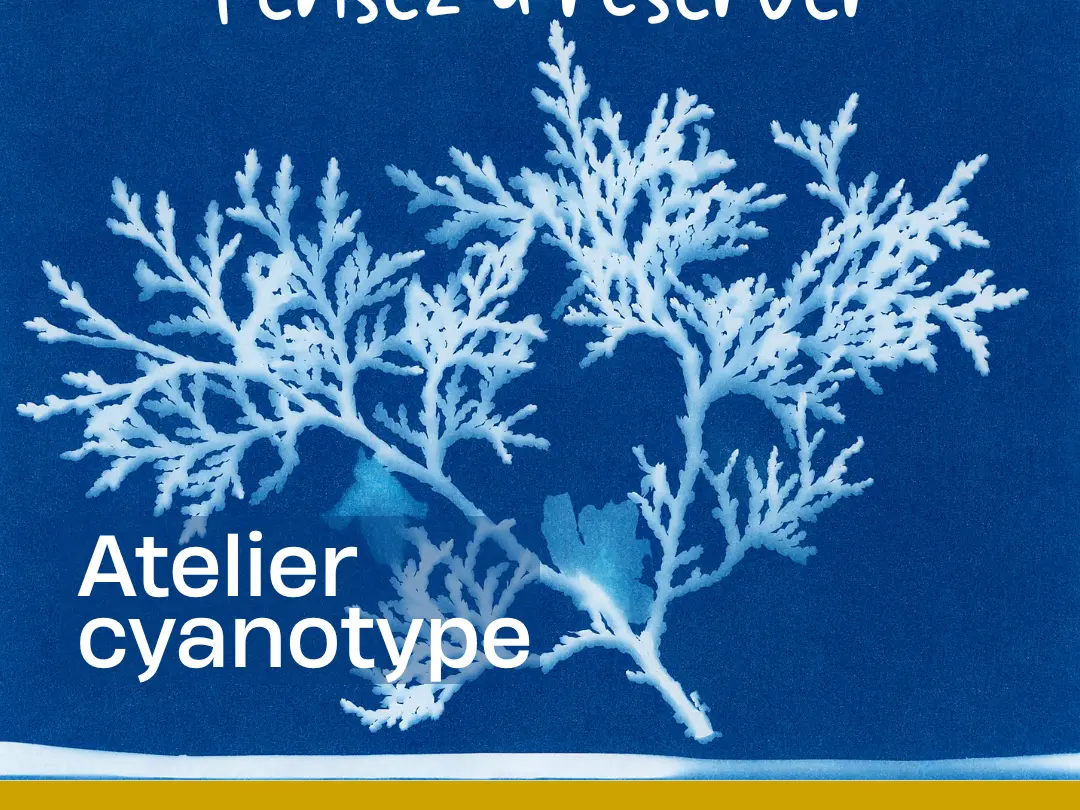 atelier cyanotype