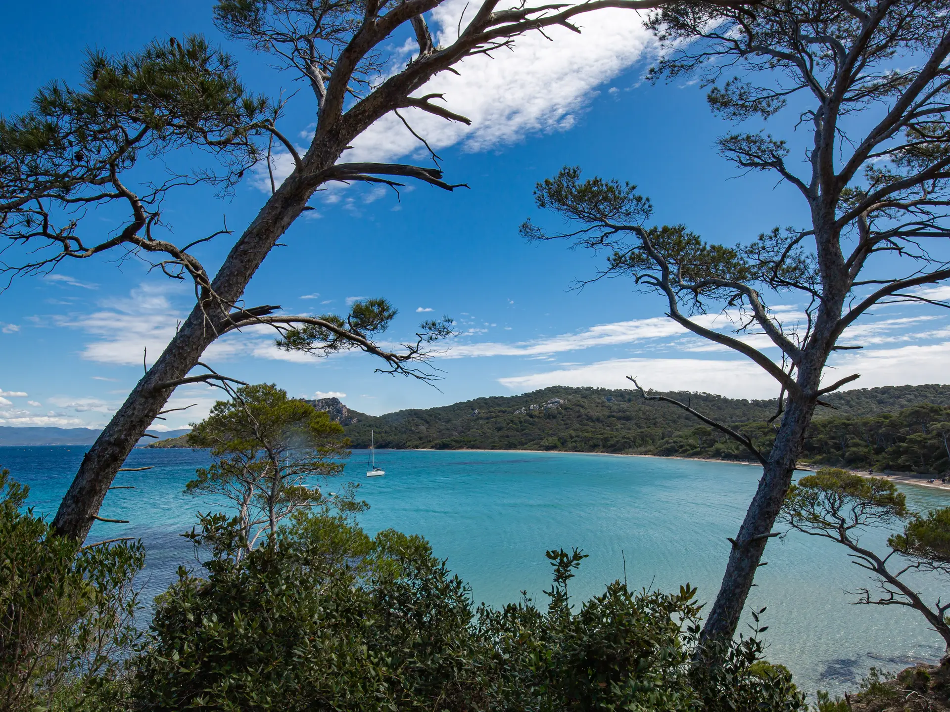 Journée à Porquerolles