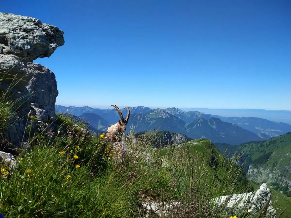 La Pointe de Bénévent