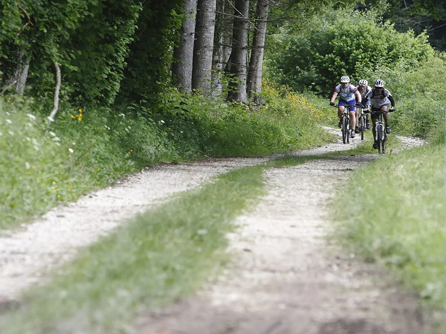 Traversée forestière du Banchet