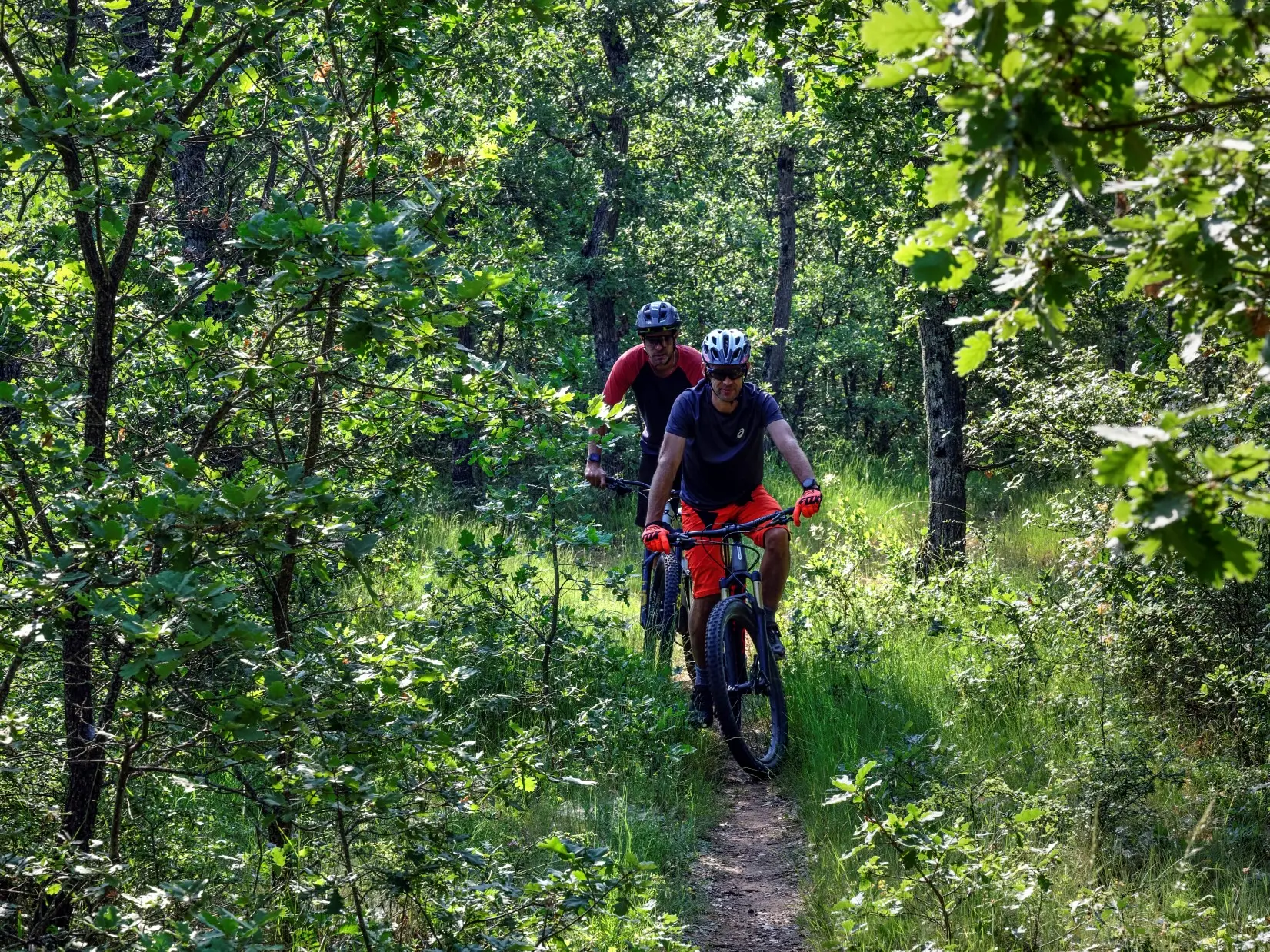 Circuit VTT 9 Provence Verdon