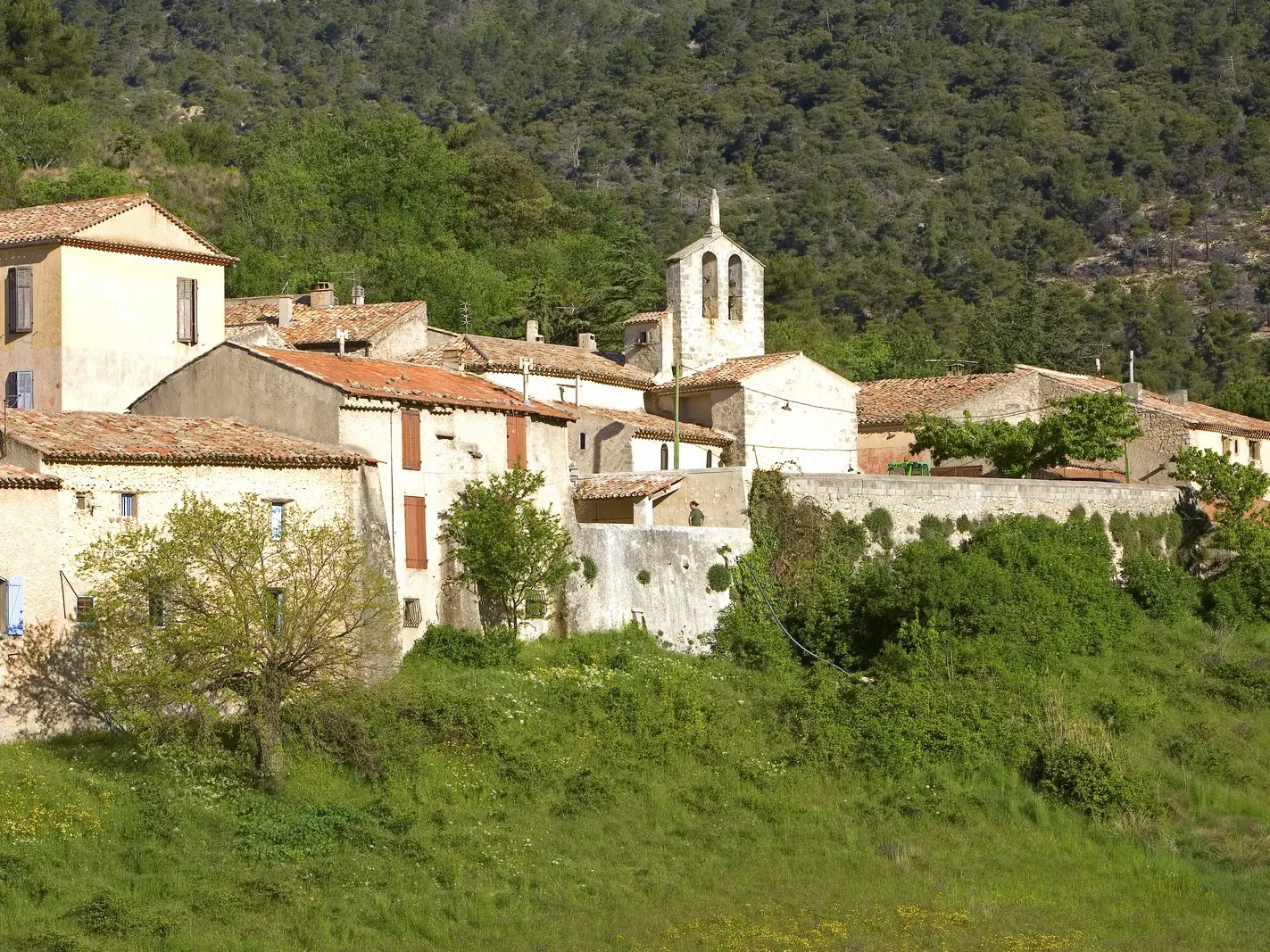 Vitolles en  Luberon