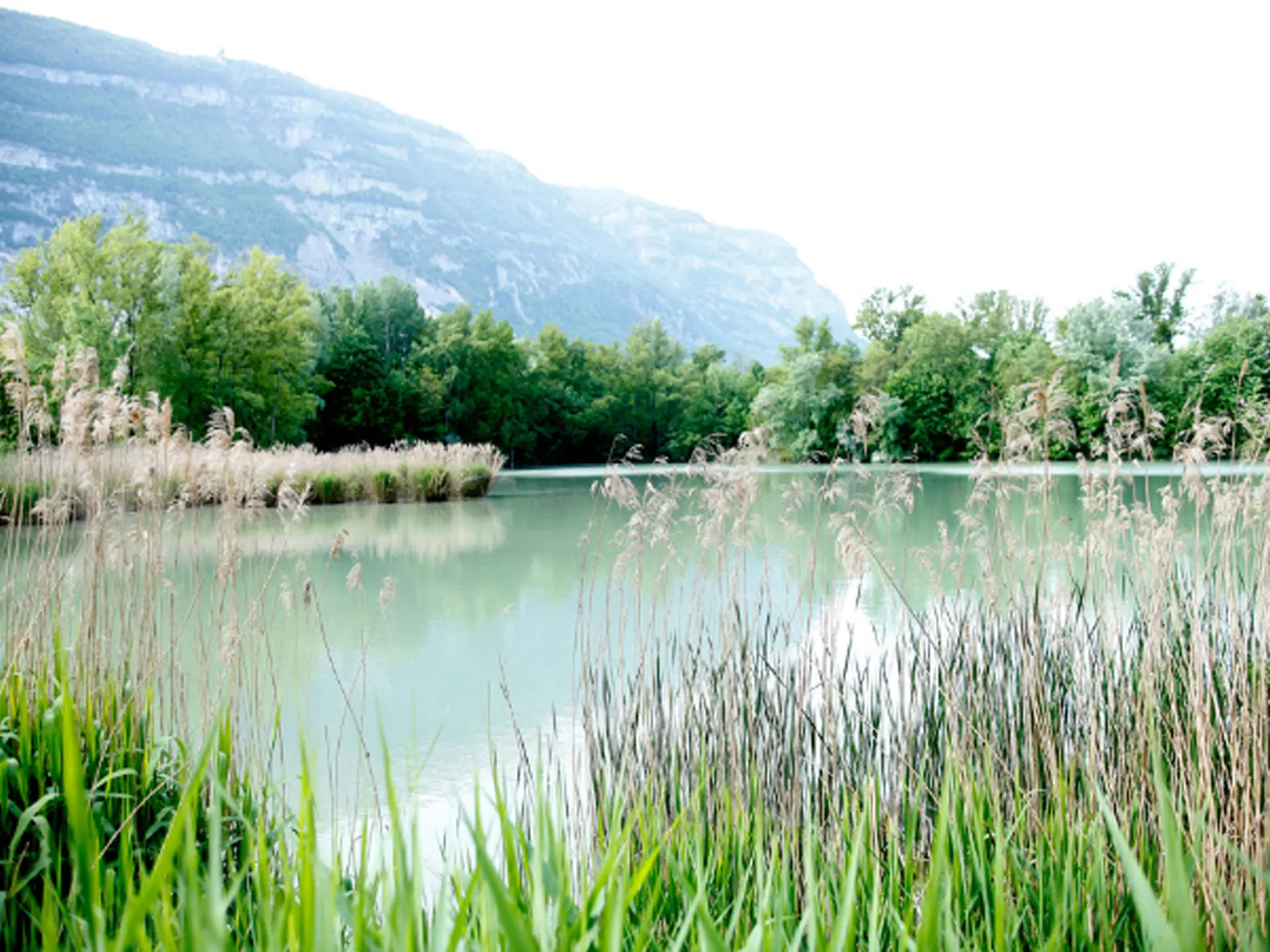 Etangs d'Etrembières