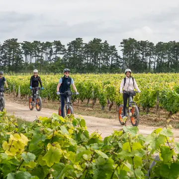 France a Velo Auxerre Office de tourisme d Auxerre et de l Auxerrois