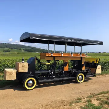 Olivier Leflaive Wine Bike Experience Puligny Montrachet Beaune and the Beaune region Tourism Burgundy