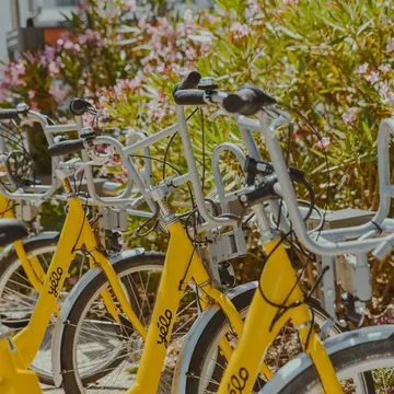 Yelo velo on sale