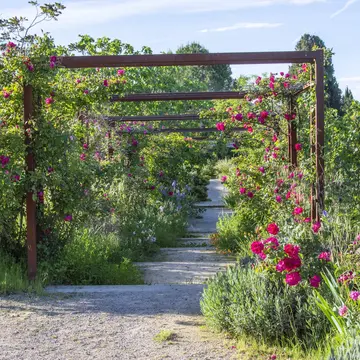 International Perfume Museum Gardens (JmiP) (Mouans-Sartoux