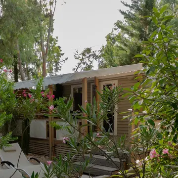 Camping Les Jardins de La Pascalinette La Londe les Maures Cote d Azur France French Riviera
