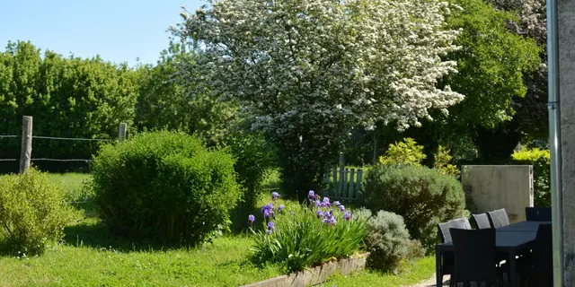 En pleine nature