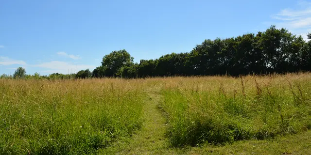 Chemin de découverte sur 5 hectares