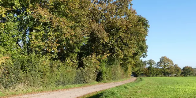17_Chemin randonnée © Gîte Tir na nog
