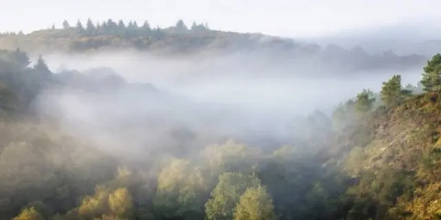 panorama-val-sans-retour-balade-contée-Brocéliande