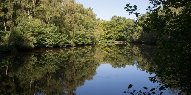 Miroir aux Fées