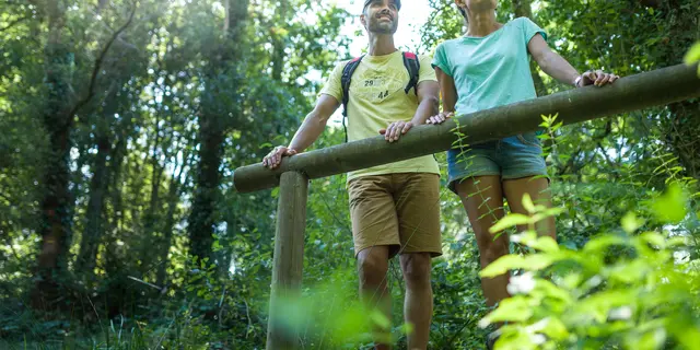 Forêt Montfort-sur-Meu