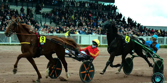 (2) GNDT - Maure de Bretagne-AGEFF PROD