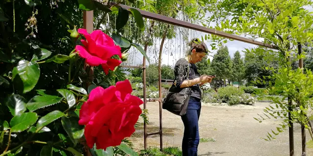Jardin médiéval Bédée