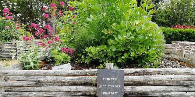 Jardin médiéval