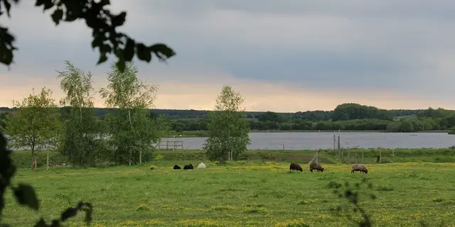 Réserve ornithologique du domaine de Careil