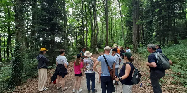 Balade contes et créations de nature