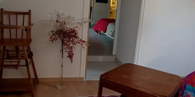 1000057260 (1)