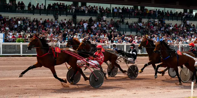 AGEFF PROD - HIPPODROME MAURE DE BRETAGNE