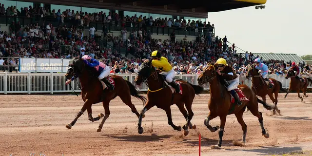 HIPPODROME MAURE DE BRETAGNE