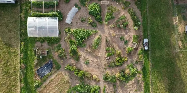12-potager-en-forme-mandala-edited-768x768