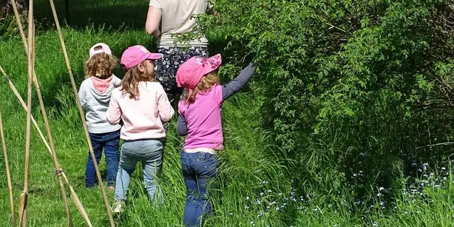 sortie_nature_cpie_foret_de_brocéliande_Morbihan