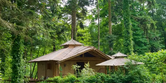 14-Cabane Bambou -camping_d_aleth-2023