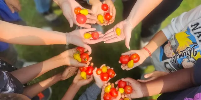 17-tryptique-acceuil-visite-micro-1024x1024