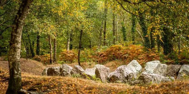 Jardin aux moines - Néant sur Yvel - Brocéliande - Morbihan