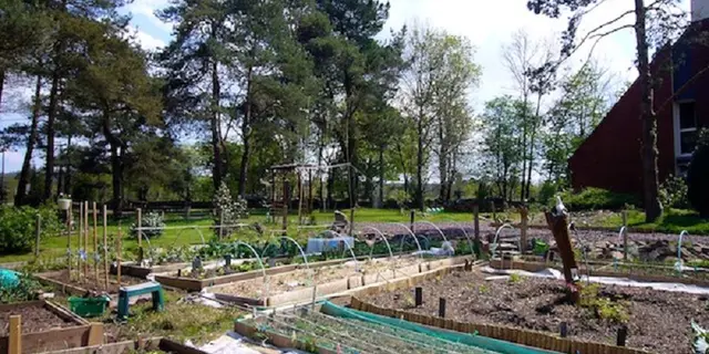 Le Bois des Elfes