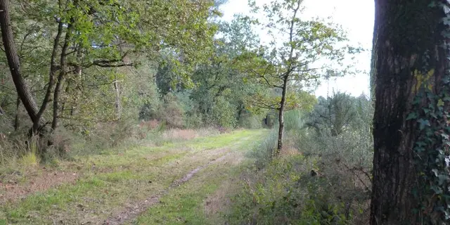 2 hautiere_Bréal